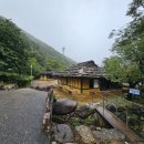 대이리 | 삼척 가볼만한곳 추천 대이리 굴피집·너와집 위치, 볼거리