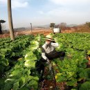 성은농장 이미지