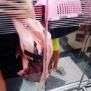 고양이무마취미용 고무미 | 고무미:고양이무마취미용(금천구고양이미용,독산고양이미용,가산고양이미용,신림고양이미용)