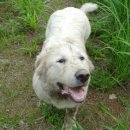 상군농장 이미지