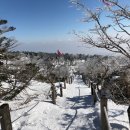 블루밍 스파앤풀빌라 이미지