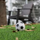 여수 스테이멍 애견펜션 이미지