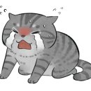 신용카센타 이미지