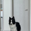 모모카네 펜션 이미지