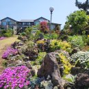 할망꽃쉼팡 민박 | [할망꽃쉼팡] 제주도 한달사기 숙소,제주도 펜션 추천,제주도 구좌읍 숙소,제주도 구좌읍 펜션,구좌읍...