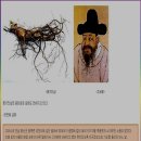 중앙인삼 이미지