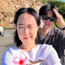 허니문리조트 후기 하와이 신혼여행 항공권 쉐라톤 와이키키 (+할인코드)