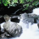 작천정7(입구) 이미지