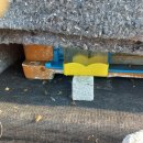 물댄동산 이미지