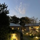 스테이오아 이미지