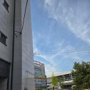 엔젤인어항 | 아산 엔젤인어항 수족관카페에서 아기와 물생활 준비하기