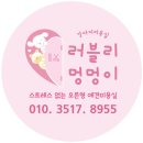 러블리 멍멍이 이미지