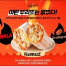루S브리또