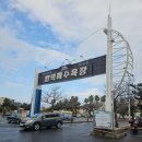 함덕힐 | [제주살이] D+30, 칭구칭긔 함덕 여행 | 게하 스탭일기 #23