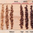커피트리(coffee tree) - 양주시 | 커피트리(coffee tree)