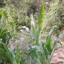 선비골농장 이미지