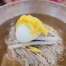 힘냉면 | 연수동 시원하고 맛있는 평양 냉면집 백면옥 연수역 전통 점심