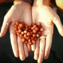 고운선율피아노 이미지