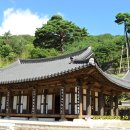 세동마을 이미지