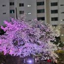 원성공원 화장실 이미지