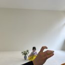 아원플라워 | [대구 돌 촬영 스튜디오] 유수필름 촬영 후기/ 대구 돌촬영 / 대구 돌스냅