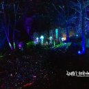 오크밸리눈썰매장 네이버블로그