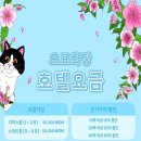 오묘화당 이미지