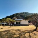 솔담 | 춘천 숙소 아기랑 가성비 독채 펜션 솔담