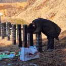 하천리-1 이미지