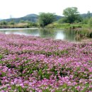 우산천길 이미지