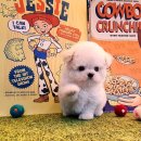 천천히 - 군위군 치산효령로 2374 | 천천히