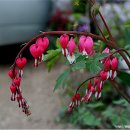 희망자원 이미지