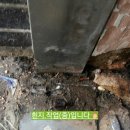 엘림건강원 - 서구 옻우물로26번길 9 | 엘림건강원