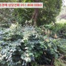 연제구-121 이미지