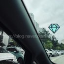 틴트게러지