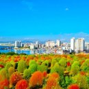 산호동532 이미지