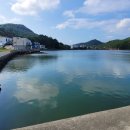 세포마을 이미지