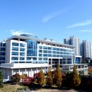 동백초교 이미지