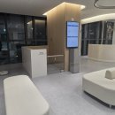 5959 내강아지 | 강아지 중성화 이유, 안 했을 때 생기는 진짜 문제들