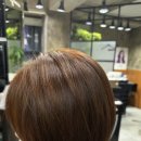 국화솔루션