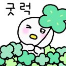 송당드