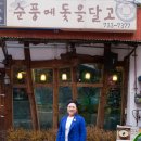 한국시낭송예술인협회 이미지