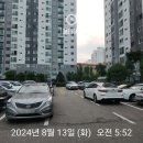 초원1단지 성원 101동 앞 | 안양 평촌 초원마을 성원 아파트