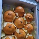 다음 카페 댓글제한??!! 이미지