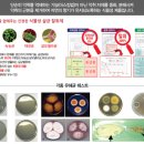그린존피시방 네이버블로그