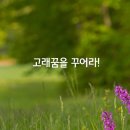새우잠