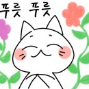 목포항도여자중학교 이미지