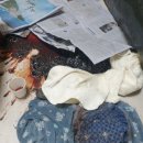 창원고등학교 이미지