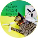 마더스캣