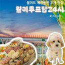 포장마차 감성 가득, 애견동반 가능한 조개 맛집 월미루프탑24시